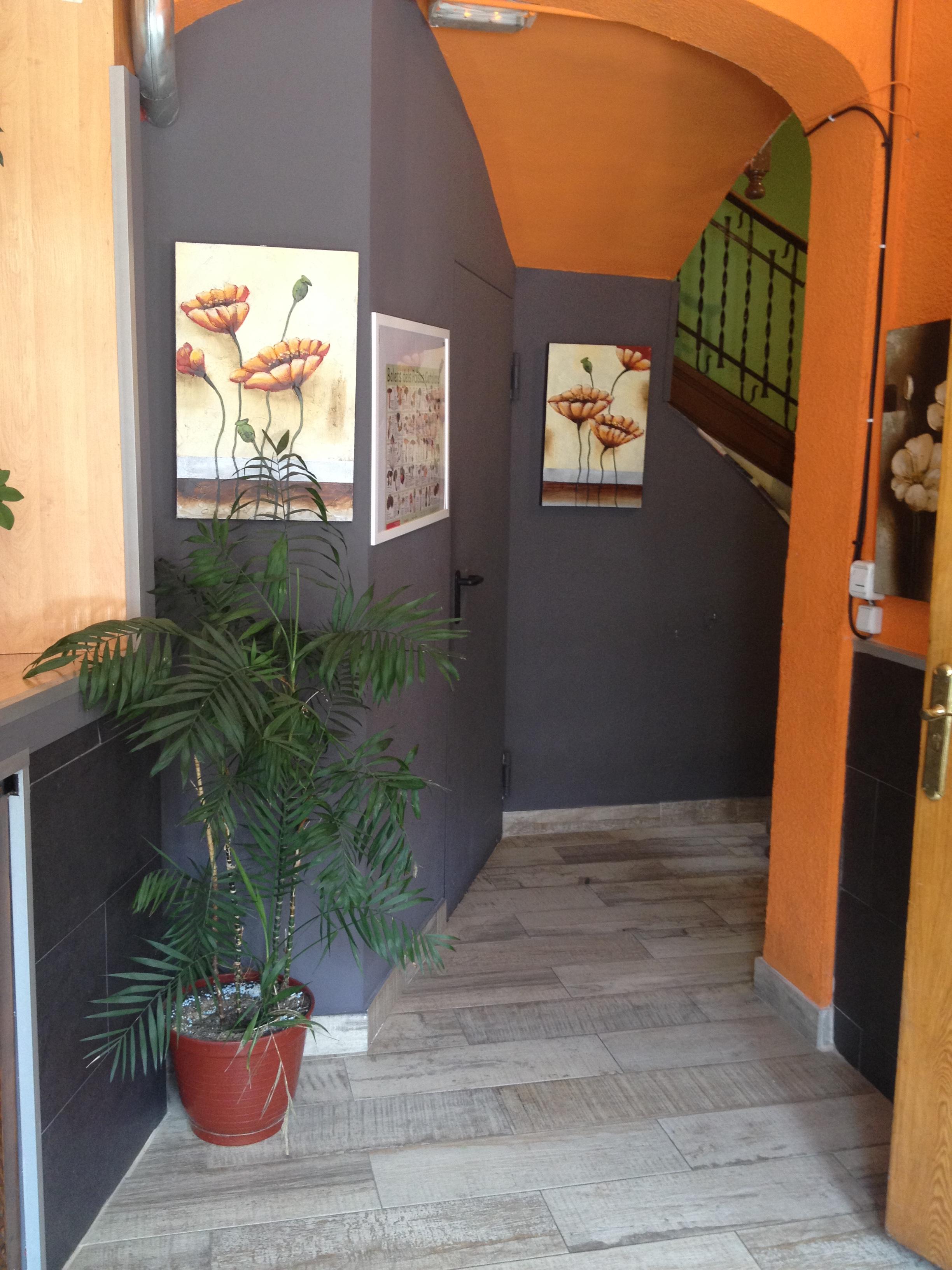 Hostal Porta De Nuria Ribes De Freser Exterior photo